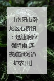南阳市卧龙区石桥镇：迅速响应强降雨 连夜疏通河道护农田
