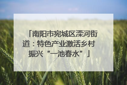 南阳市宛城区溧河街道：特色产业激活乡村振兴“一池春水”