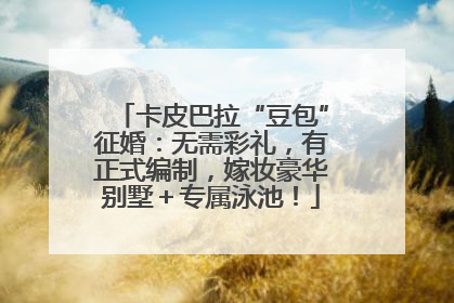 卡皮巴拉“豆包”征婚：无需彩礼，有正式编制，嫁妆豪华别墅＋专属泳池！