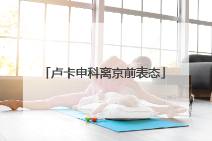 卢卡申科离京前表态