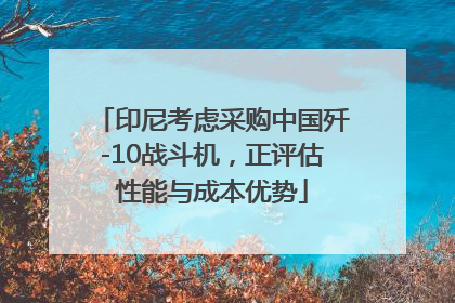 印尼考虑采购中国歼-10战斗机，正评估性能与成本优势