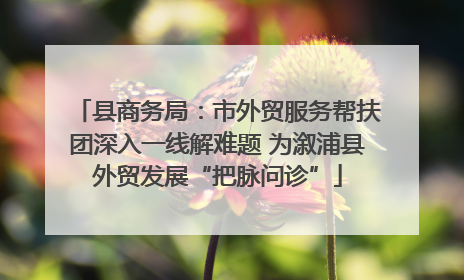 县商务局：市外贸服务帮扶团深入一线解难题 为溆浦县外贸发展“把脉问诊”