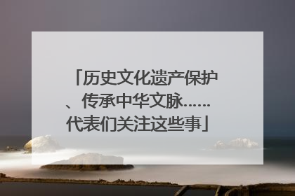 历史文化遗产保护、传承中华文脉……代表们关注这些事