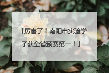 厉害了！南阳市实验学子获全省预赛第一！