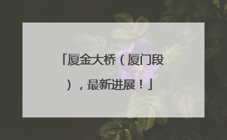 厦金大桥（厦门段），最新进展！