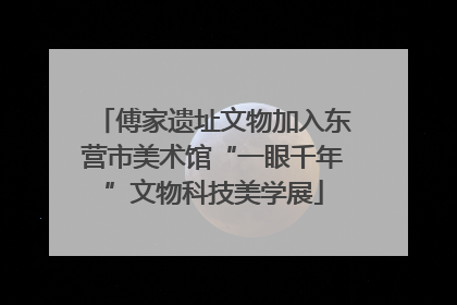 傅家遗址文物加入东营市美术馆“一眼千年”文物科技美学展