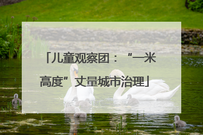 儿童观察团：“一米高度”丈量城市治理