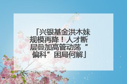 兴银基金洪木妹规模再降！人才断层叠加高管动荡“偏科”困局何解