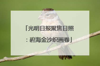 光明日报聚焦日照：碧海金沙织画卷