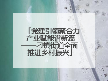 党建引领聚合力 产业赋能谱新篇——刁镇街道全面推进乡村振兴