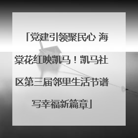 党建引领聚民心 海棠花红映凯马！凯马社区第三届邻里生活节谱写幸福新篇章