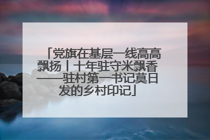 党旗在基层一线高高飘扬丨十年驻守米飘香——驻村第一书记莫日发的乡村印记