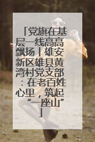 党旗在基层一线高高飘扬丨雄安新区雄县黄湾村党支部：在老百姓心里，筑起“一座山”