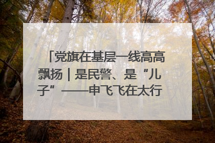 党旗在基层一线高高飘扬｜是民警、是“儿子”——申飞飞在太行山中的一线坚守