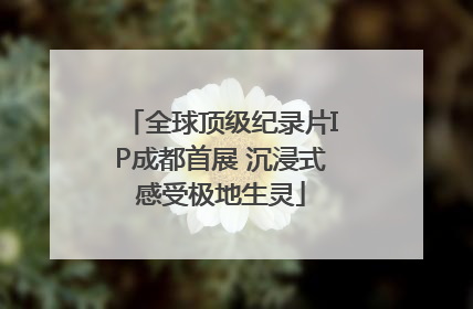 全球顶级纪录片IP成都首展 沉浸式感受极地生灵
