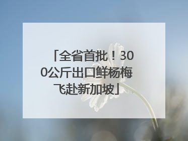 全省首批！300公斤出口鲜杨梅飞赴新加坡