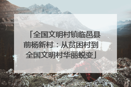 全国文明村镇临邑县前杨新村：从贫困村到全国文明村华丽蜕变