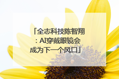 全志科技陈智翔：AI穿戴眼镜会成为下一个风口