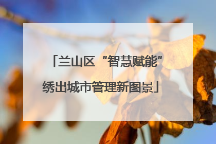 兰山区“智慧赋能”绣出城市管理新图景