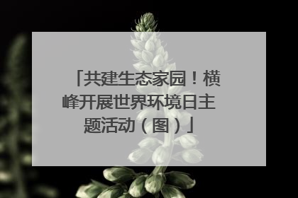共建生态家园！横峰开展世界环境日主题活动（图）