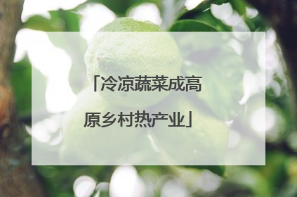 冷凉蔬菜成高原乡村热产业