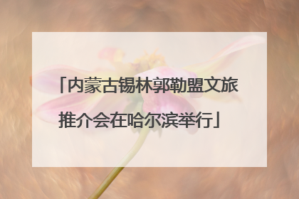 内蒙古锡林郭勒盟文旅推介会在哈尔滨举行