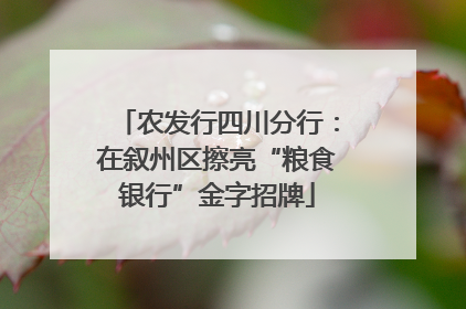 农发行四川分行：在叙州区擦亮“粮食银行”金字招牌