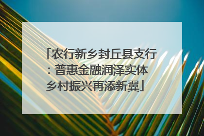农行新乡封丘县支行：普惠金融润泽实体 乡村振兴再添新翼