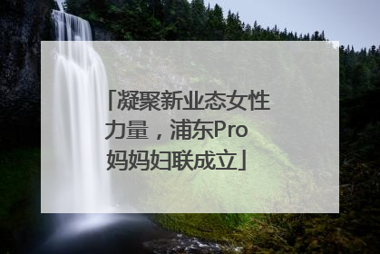 凝聚新业态女性力量，浦东Pro妈妈妇联成立