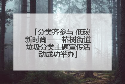 分类齐参与 低碳新时尚——椿树街道垃圾分类主题宣传活动成功举办