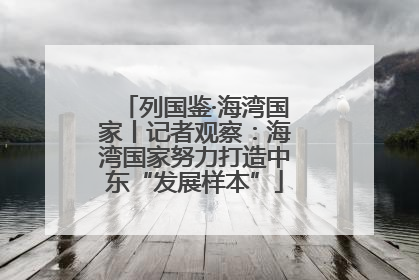 列国鉴·海湾国家丨记者观察：海湾国家努力打造中东“发展样本”