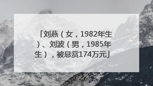 刘燕（女，1982年生）、刘波（男，1985年生），被悬赏174万元