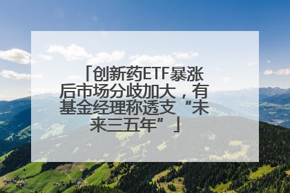 创新药ETF暴涨后市场分歧加大，有基金经理称透支“未来三五年”