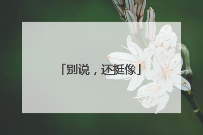 别说，还挺像