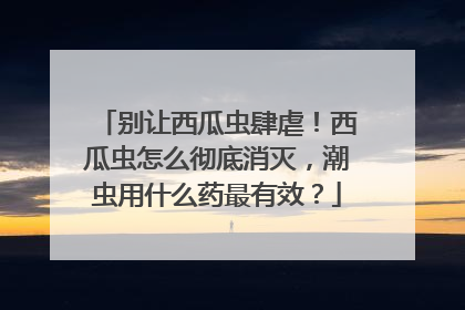 别让西瓜虫肆虐！西瓜虫怎么彻底消灭，潮虫用什么药最有效？