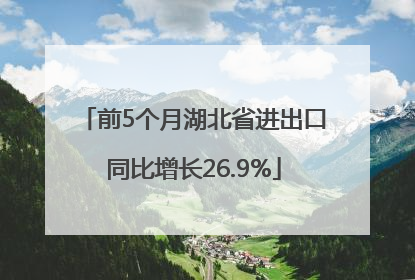 前5个月湖北省进出口同比增长26.9%