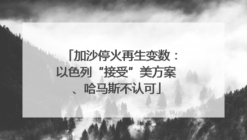 加沙停火再生变数：以色列“接受”美方案、哈马斯不认可