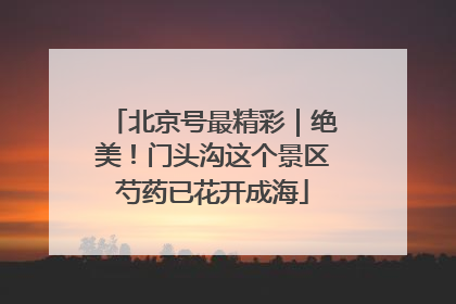 北京号最精彩｜绝美！门头沟这个景区芍药已花开成海
