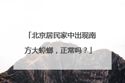 北京居民家中出现南方大蟑螂，正常吗？
