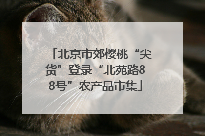 北京市郊樱桃“尖货”登录“北苑路88号”农产品市集