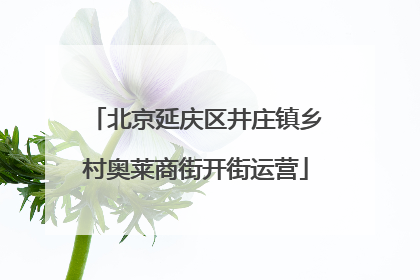 北京延庆区井庄镇乡村奥莱商街开街运营