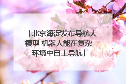 北京海淀发布导航大模型 机器人能在复杂环境中自主导航