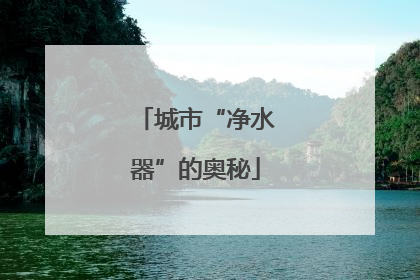 城市“净水器”的奥秘