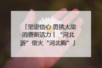 坚定信心 勇挑大梁·消费新活力丨“河北游”带火“河北购”