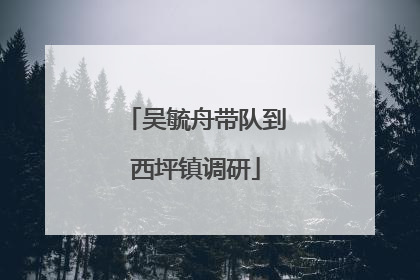 吴毓舟带队到西坪镇调研