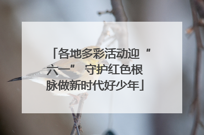 各地多彩活动迎“六一” 守护红色根脉做新时代好少年