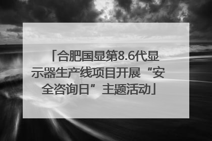 合肥国显第8.6代显示器生产线项目开展“安全咨询日”主题活动