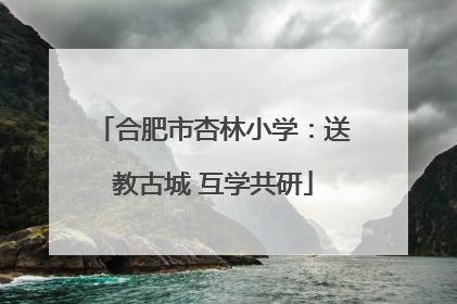 合肥市杏林小学：送教古城 互学共研