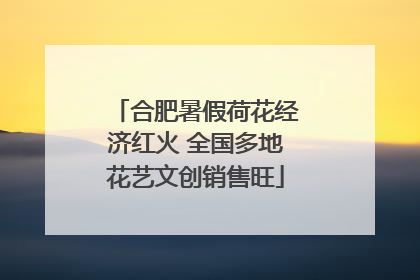 合肥暑假荷花经济红火 全国多地花艺文创销售旺