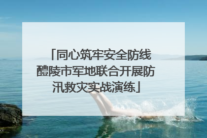 同心筑牢安全防线 醴陵市军地联合开展防汛救灾实战演练